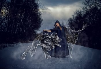зимняя серия © Ирина Горовцова
