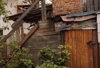 Во дворике на углу Бахарова и Социалки. Фото: Татьяна Удодова basin 02