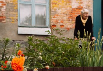 Во дворике на углу Бахарова и Социалки. Фото: Татьяна Удодова basin 05