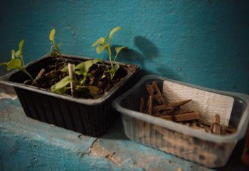 Во дворике на углу Бахарова и Социалки. Фото: Татьяна Удодова basin 14