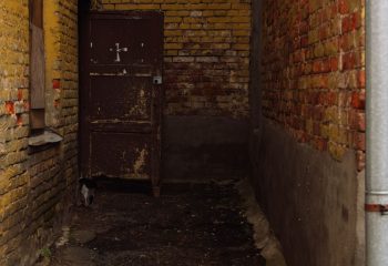 Во дворике на углу Бахарова и Социалки. Фото: Татьяна Удодова basin 18