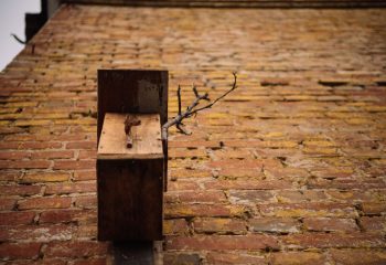 Во дворике на углу Бахарова и Социалки. Фото: Татьяна Удодова basin 19