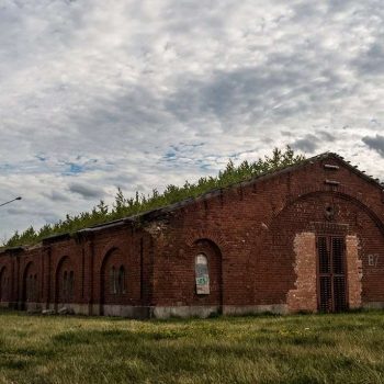 2016 год. Фото: Игорь Старовойтов