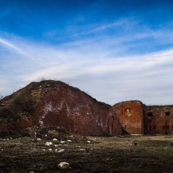 2016 год. Фото: Игорь Старовойтов