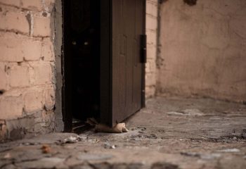 Бобруйские дворики