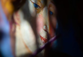 Анатолий Концуб и Татьяна Удодова. «Ирисы».