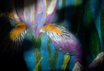 Анатолий Концуб и Татьяна Удодова. «Ирисы». Фрагмент 2 Анатолий Концуб и Татьяна Удодова. «Ирисы».