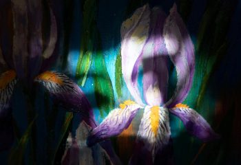 Анатолий Концуб и Татьяна Удодова. «Ирисы». Фрагмент 10 Анатолий Концуб и Татьяна Удодова. «Ирисы».