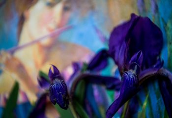 Анатолий Концуб и Татьяна Удодова. «Ирисы». Фрагмент 15 Анатолий Концуб и Татьяна Удодова. «Ирисы».