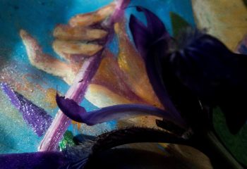 Анатолий Концуб и Татьяна Удодова. «Ирисы». Фрагмент 16 Анатолий Концуб и Татьяна Удодова. «Ирисы».