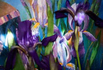 Анатолий Концуб и Татьяна Удодова. «Ирисы». Фрагмент 17 Анатолий Концуб и Татьяна Удодова. «Ирисы».