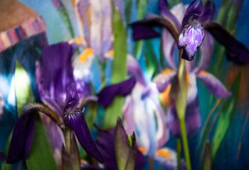 Анатолий Концуб и Татьяна Удодова. «Ирисы». Фрагмент 18 Анатолий Концуб и Татьяна Удодова. «Ирисы».