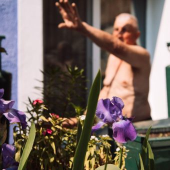 Двор на Социалистической, 85. Фото: Татьяна Удодова Двор 3-й. Садовник из желтого дома