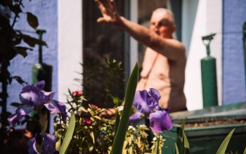 Двор на Социалистической, 85. Фото: Татьяна Удодова Двор 3-й. Садовник из желтого дома