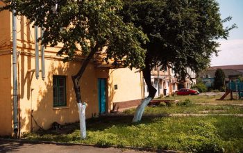 Двор на Социалистической, 85. Фото: Татьяна Удодова photo 2022 06 12 20 37 31
