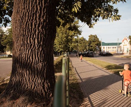 oak 02