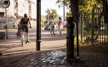 Адрес: Социалистическая, 134a. Фото: Татьяна Удодова oak 03