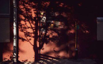 Фото: Татьяна Удодова