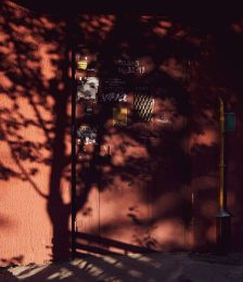 Фото: Татьяна Удодова