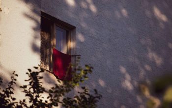 Фото: Татьяна Удодова