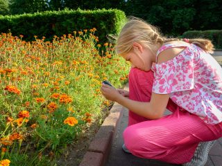 Прогулка по Бобруйску 4 августа 2022 года. Фото: Александр Чугуев