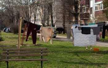 Последние сплетни. Адрес двора: ул. Пушкина, 235. Дата съемки: 08.04.2023. Фото: Татьяна Удодова Фото: Татьяна Удодова