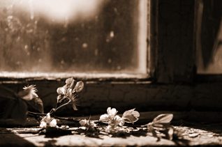 Луна сидела на подоконнике, скрестив ноги по-турецки, прижимаясь спиной к косяку оконной рамы. Ответ прозвучал тихо и торжественно, взгляд был холодным и серьезным. Только она знала: стоит сомкнуть ей веки, и тонкая кожа сразу ощутит свет улыбки.
— У меня болят глаза, когда ты улыбаешься и смотришь на меня во сне, — сказала она.
— Я люблю твой голос. Когда ты говоришь, а глаза твои закрыты, твой голос становится важным, имеющим значение, и даже дыхание твое сообщает мне последнюю истину. Поэтому я улыбаюсь.
— Я тоже улыбаюсь. От твоих слов. Ты видишь.
— Да.
Она закрыла глаза.
— Скажи мне, почему мир не таков, каким кажется?
— Какой мир?
— Мой мир.
— Видимо, твой мир ошибка. В твоем мире параллели сходятся и начинают пожирать друг друга; развилины дорог исчезают в черных туннелях, а потом выныривают на свет на другом конце земли, там, где их не ждали. Окружности и спирали уродуют лица людей.
— Так значит, есть другой мир?
— Возможно. Это зависит от того, как сильно ты хочешь в него попасть.
— И как же там с параллелями?
— Никак. Туда не проникает ни солнце, ни ветер, ни дождь, ни пыль. Там нет теней. Там нет дорог. Бобруйский район, заброшенный дом в деревне Брожа, 1 мая 2023 года. Фото: Татьяна Удодова